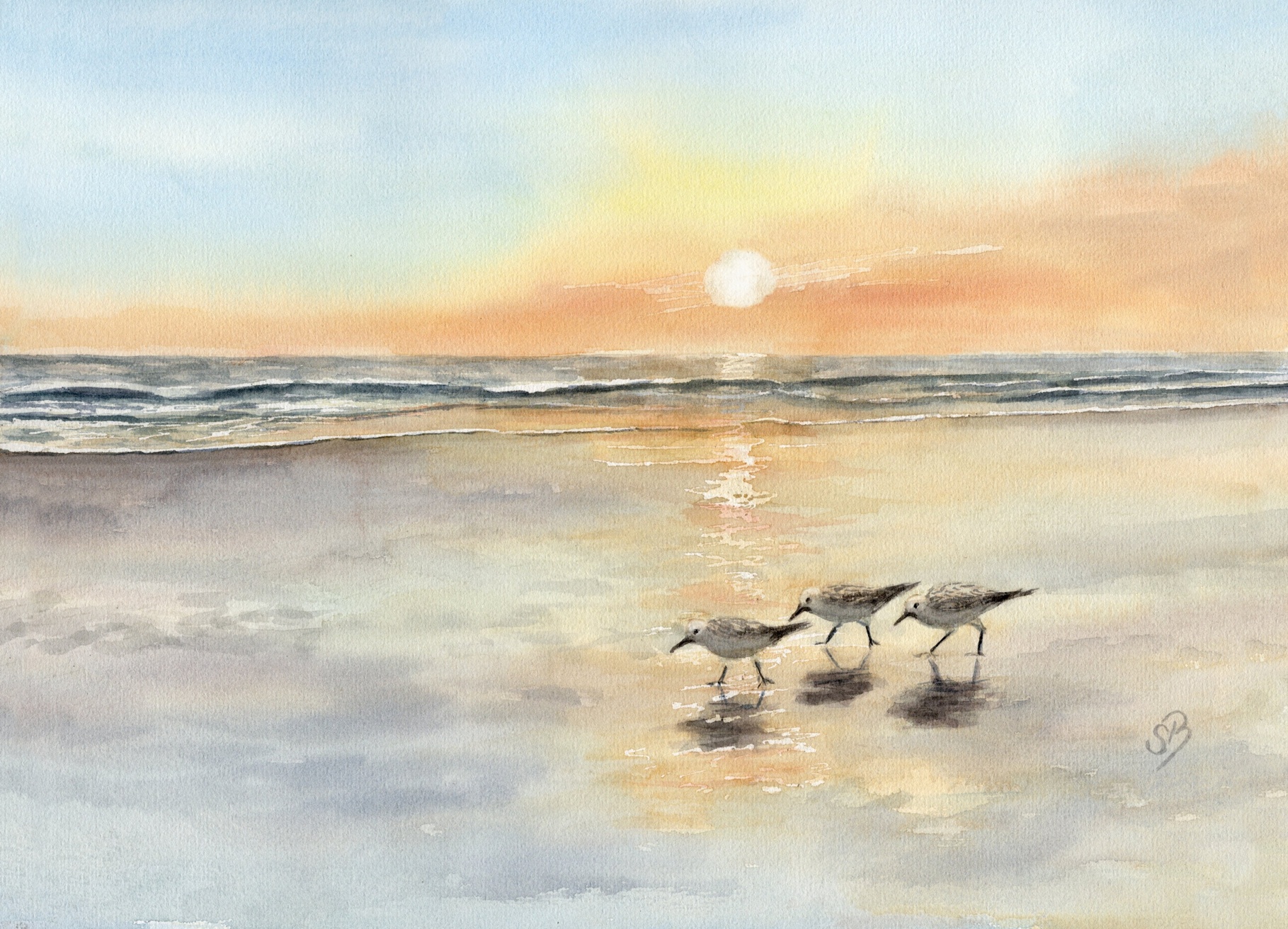 AL5 - Sandpiper Sea Sunset Watercolor