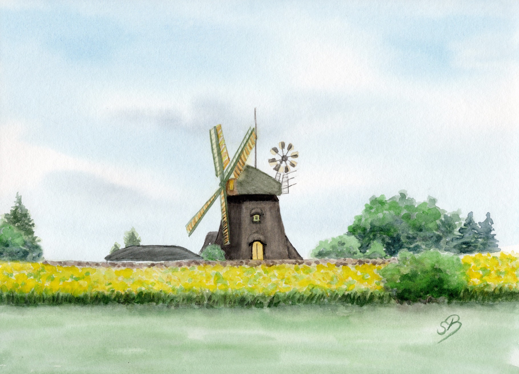 Amrum11 - Amrum Mühle