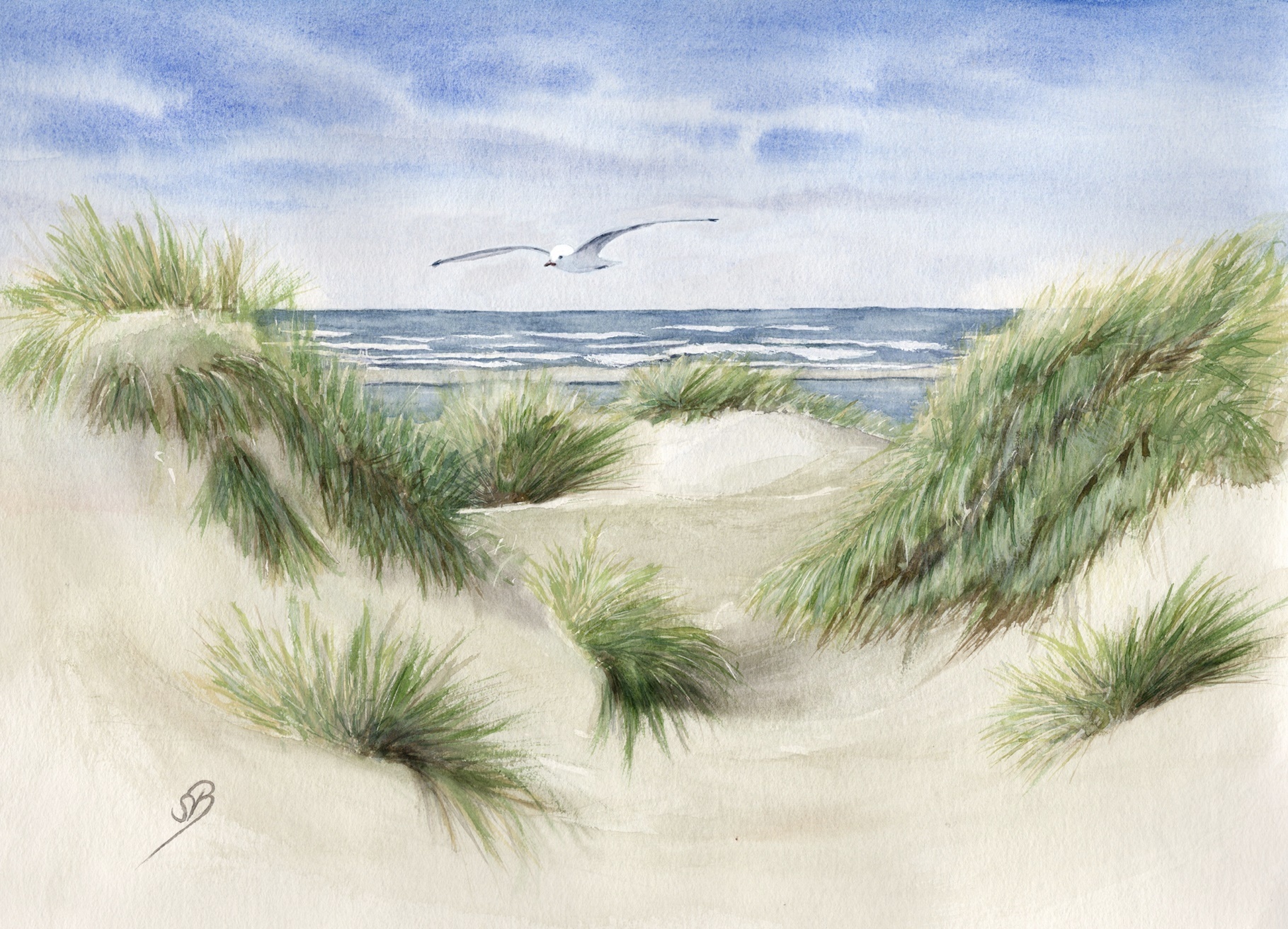 DK42 - Dunes