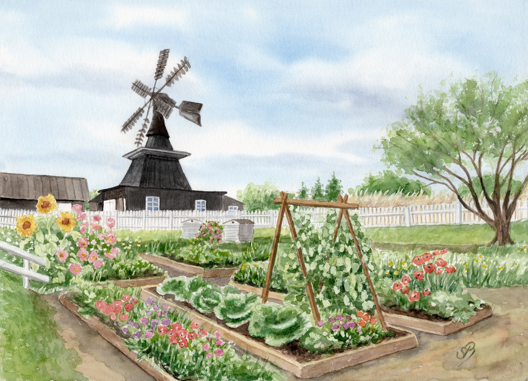 Nymindegab Mill garden - DK90 Watercolor Picture Art Print