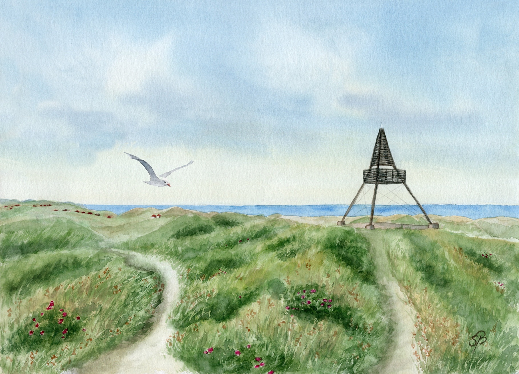 DK95 - Skagen Bake