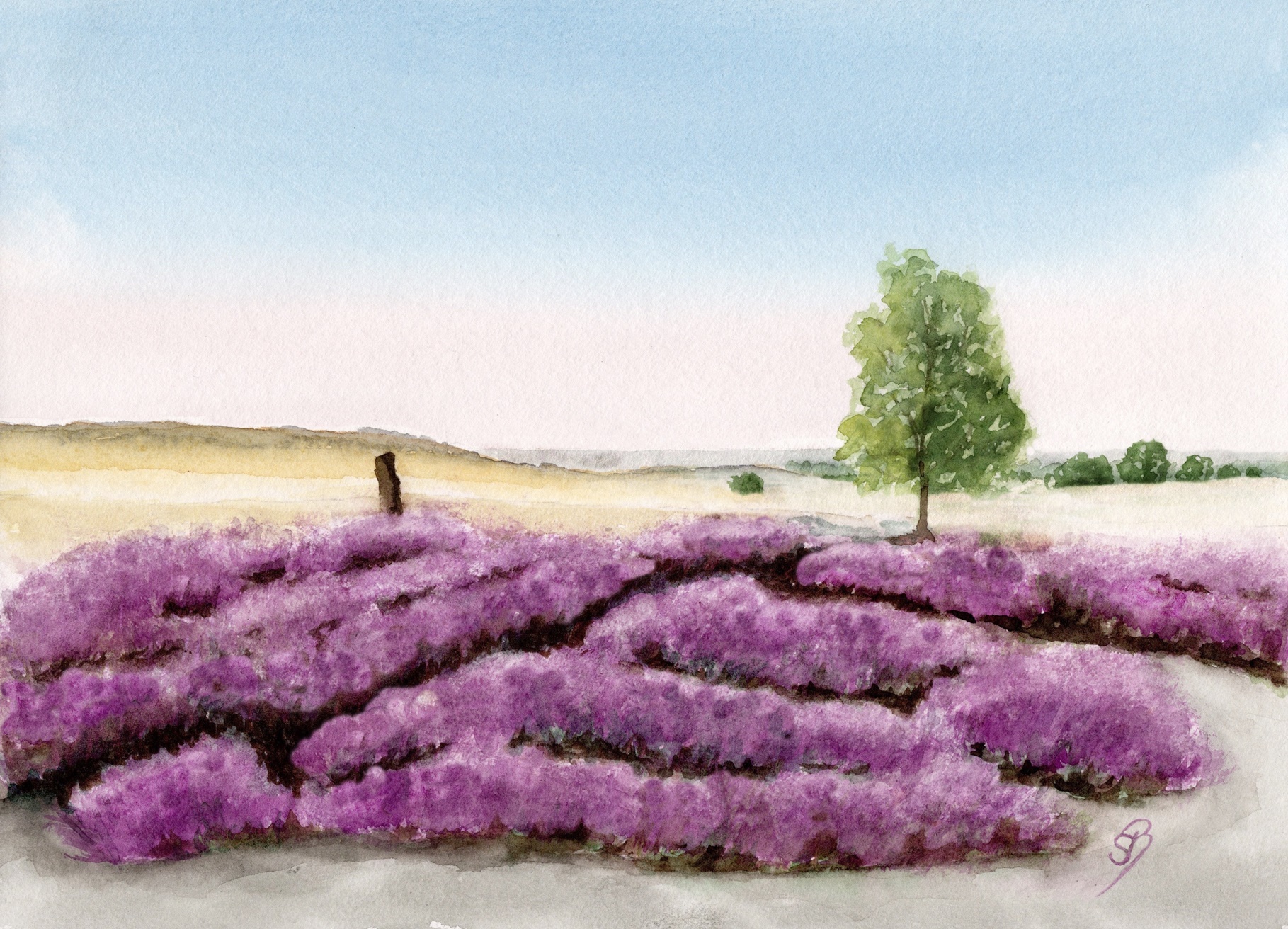 LH2- Heide Landschaft