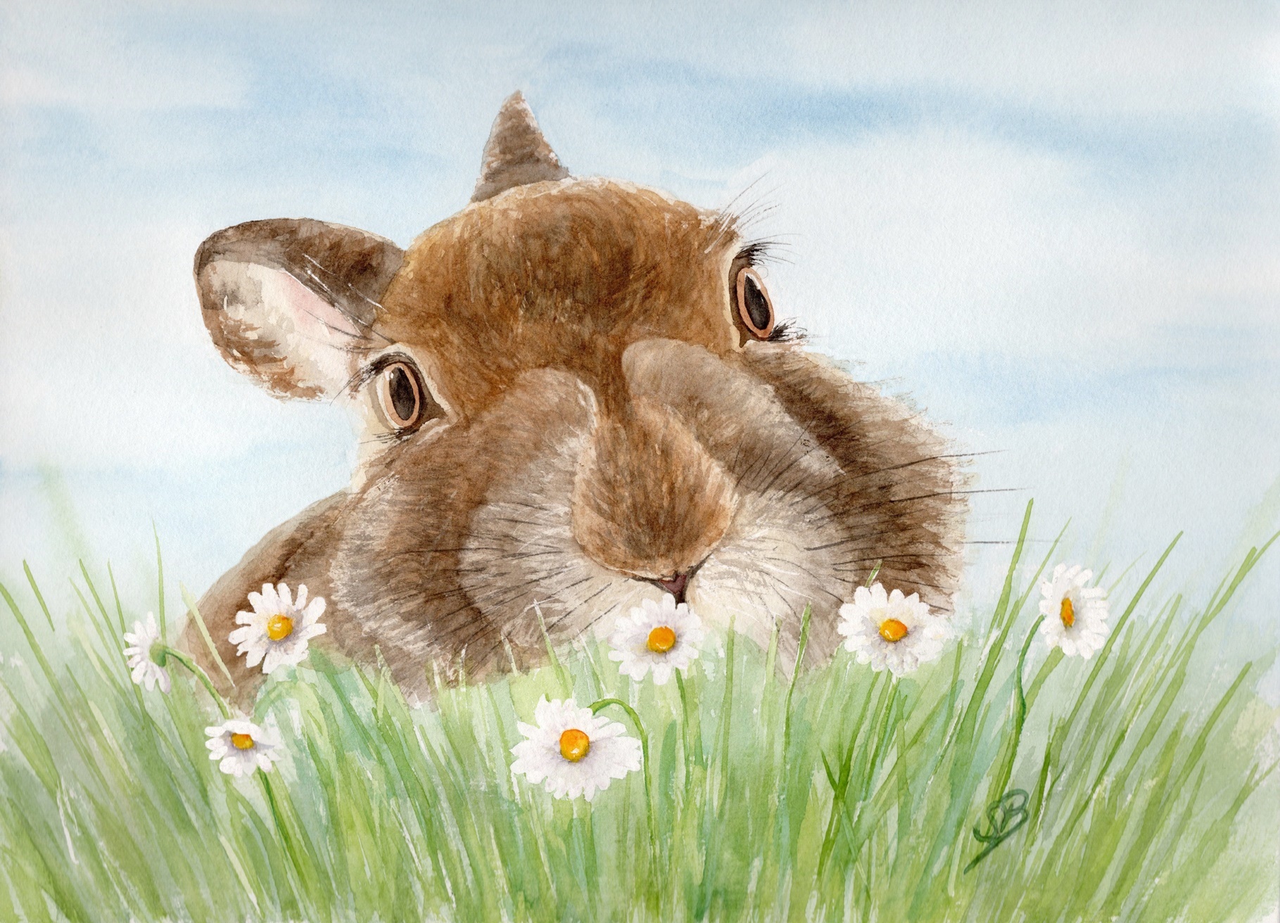 T2 - Kaninchen