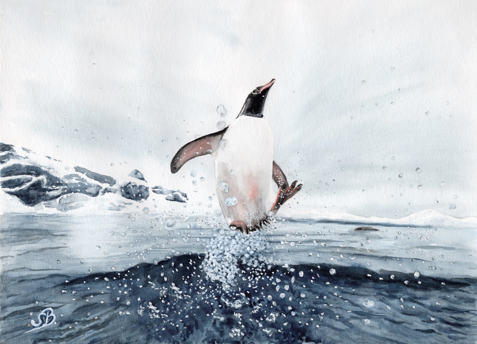 T4 - Pinguin