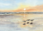 Preview: Postkarte DIN-A6 Aquarell Kunst Druck Kunstdruck Vogel Strandläufer Meer Sonnenuntergang