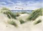 Preview: Postkarte DIN-A6 Aquarell Maritim Kunst Druck Kunstdruck Dünen Dänemark Nordsee Düne Meer Möwe Strand