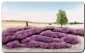 Preview: Breakfast board Heathland LH2