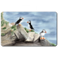 Preview: Frühstücksbrettchen Brettchen Aquarell Kunst Druck Kunstdruck Vogel Papageientaucher Puffin - Norwegen Dänemark Nordsee Arktis
