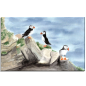 Preview: Leinwand 40 x 30 cm Keilrahmen Canvas-Leinen Aquarell Kunst Druck Kunstdruck Vogel Papageientaucher Puffin - Norwegen Dänemark Nordsee Arktis