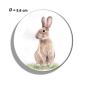 Preview: Kühlschrankmagnet m. Flaschenöffner Aquarell Kunst Druck Kunstdruck Hase Kaninchen Ostern Frühling Osterhase