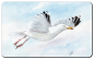 Preview: Frühstücksbrettchen Brettchen Möwe im Flug - T10