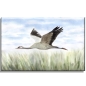 Preview: Leinwand 30 x 20 cm Keilrahmen Canvas-Leinen Folienmagnet Aquarell Maritim Kunst Druck Kunstdruck Ostsee Kranich im Flug Ostsee Darß Zingst