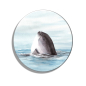 Preview: Fridge magnet with bottle opener  Watercolor Maritime Art Print Art Print Denmark North Sea Baltic Sea Whale Sperm Whale Porpoises