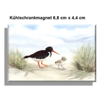 Kühlschrankmagnet  Aquarell Maritim Kunst Druck Kunstdruck Nordsee Amrum 5 - Austernfischer am Strand