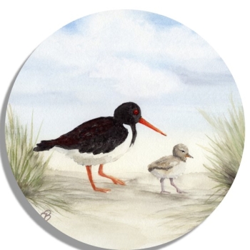 Untersetzer Glasuntersetzer rund 9,5 cm Aquarell Maritim Kunst Druck Kunstdruck Nordsee Amrum 5 - Austernfischer am Strand