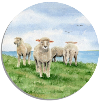 Untersetzer Glasuntersetzer rund 9,5 cm  Aquarell Maritim Kunst Druck Kunstdruck Nordsee Ostsee Schafe Schaf Deich Ostfriesland Deichschafe