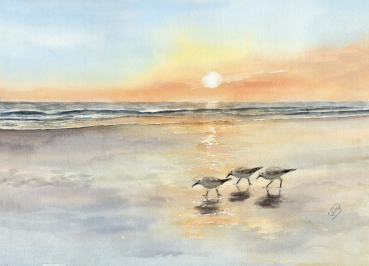 Postkarte DIN-A6 Aquarell Kunst Druck Kunstdruck Vogel Strandläufer Meer Sonnenuntergang