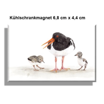 Kühlschrankmagnet Aquarell Kunst Druck Kunstdruck Vogel Austernfischer Nordsee Austernfischerkücken Kücken