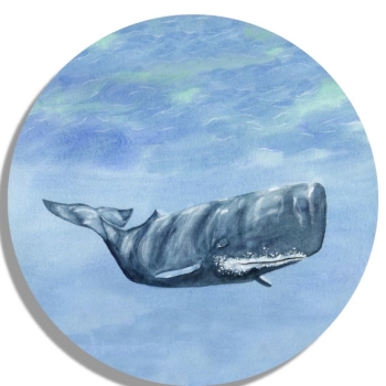 Untersetzer Glasuntersetzer rund 9,5 cm  Aquarell Maritim Kunst Druck Kunstdruck Dänemark Nordsee Ostsee Wal Pottwal Schweinswale Schweinswal