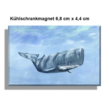 Kühlschrankmagnet  Aquarell Maritim Kunst Druck Kunstdruck Dänemark Nordsee Ostsee Wal Pottwal Schweinswale Schweinswal