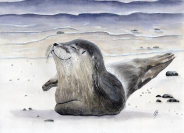 Poster DIN-A4  Aquarell Maritim Kunst Druck Kunstdruck Seehund Robbe Heuler Kegelrobbe Dänemark Nordsee Ostsee