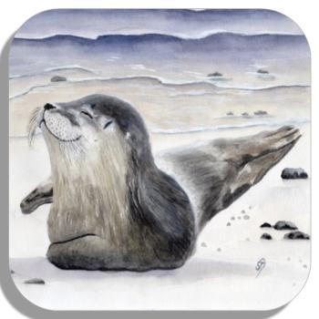 Coasters glass coasters 9,5 x  9,5 cm  Watercolor Maritime Art Print Seal Denmark North Sea Baltic Sea