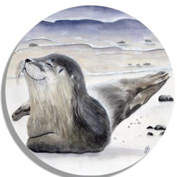 Untersetzer Glasuntersetzer rund 9,5 cm  Aquarell Maritim Kunst Druck Kunstdruck Seehund Robbe Heuler Kegelrobbe Dänemark Nordsee Ostsee