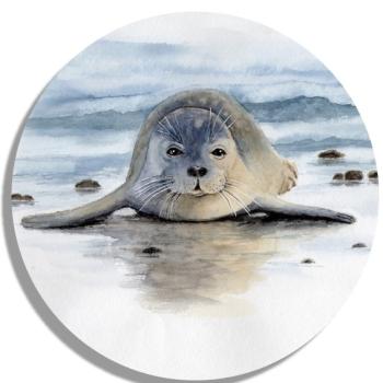 Untersetzer Glasuntersetzer rund 9,5 cm  Aquarell Maritim Kunst Druck Kunstdruck Seehund auf Bauch Robbe Heuler Kegelrobbe Dänemark Nordsee Ostsee