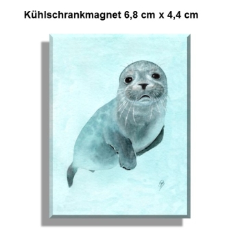 Kühlschrankmagnet kleiner Seehund DK25