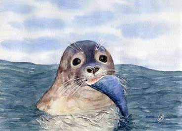 Poster DIN-A4  Aquarell Maritim Kunst Druck Kunstdruck Seehund mit Fisch Robbe Heuler Kegelrobbe Dänemark Nordsee Ostsee