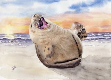 Postkarten DIN-A6  Aquarell Maritim Kunst Druck Kunstdruck lachender Seehund Robbe Heuler Kegelrobbe Dänemark Nordsee Ostsee