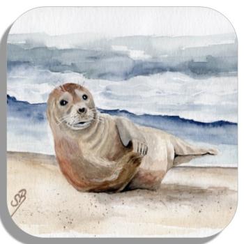 Coasters glass coasters 9,5 x  9,5 cm little seal DK25