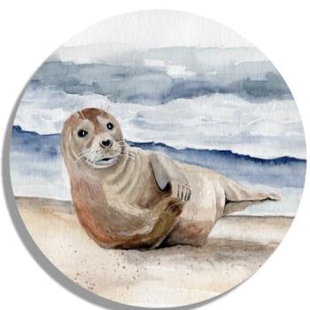 Coasters Glass coasters around 9.5 cm little seal DK25