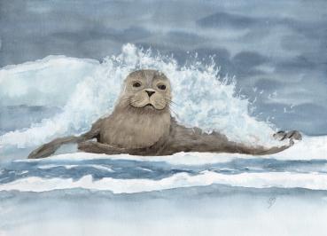 Folienmagnet Aquarell Maritim Kunst Druck Kunstdruck Seehund Welle Wellen Robbe Heuler Kegelrobbe Dänemark Nordsee Ostsee