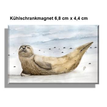 Kühlschrankmagnet Seehund in der Sonne - DK51