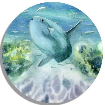 Untersetzer Glasuntersetzer rund 9,5 cm Aquarell Maritim Kunst Druck Kunstdruck Nordsee Dänemark Danmark  Hirtshals Mondfisch Solfisk