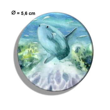 Kühlschrankmagnet m. Flaschenöffner Aquarell Maritim Kunst Druck Kunstdruck Nordsee Dänemark Danmark Hirtshals  Mondfisch Solfisk