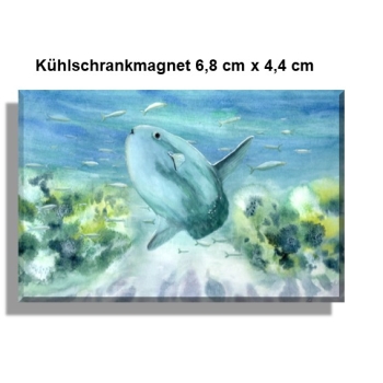 Kühlschrankmagnet  Aquarell Aquarell Maritim Kunst Druck Kunstdruck Nordsee Dänemark Danmark Hirtshals Mondfisch Solfisk