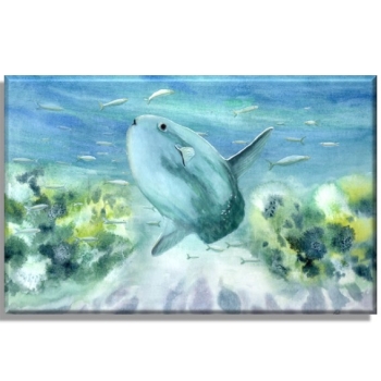 Leinwand 30 x 20 cm Keilrahmen Canvas-Leinen Aquarell Maritim Kunst Druck Kunstdruck Nordsee Dänemark Danmark  Hirtshals Mondfisch Solfisk