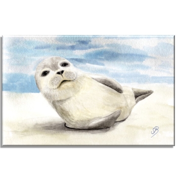 Leinwand 30 x 20 cm Keilrahmen Canvas-Leinen weißer Seehund am Strand - DK56