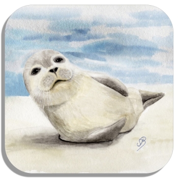 Untersetzer Glasuntersetzer 9,5 x 9,5 cm weißer Seehund am Strand - DK56