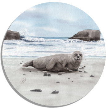Coasters Glass coasters around 9.5 cm Watercolor Maritime Art Print Seal on belly Denmark North Sea Baltic Sea