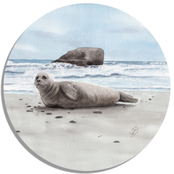 Coasters Glass coasters around 9.5 cm Seals on the beach  DK78B
