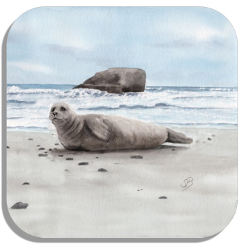 Untersetzer Glasuntersetzer 9,5 x 9,5 cm Robben am Strand - DK78A + DK78B