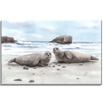 Leinwand Keilrahmen Canvas-Leinen  Aquarell Maritim Kunst Druck Kunstdruck Seehund auf Bauch Robbe Heuler Kegelrobbe Dänemark Nordsee Ostsee