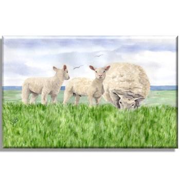 Leinwand 30 x 20 cm Keilrahmen Canvas-Leinen  Aquarell Maritim Kunst Druck Kunstdruck Nordsee Ostsee Schafe Schaf Deich Ostfriesland Deichschafe