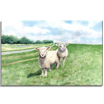 Leinwand 30 x 20 cm Keilrahmen Canvas-Leinen  Aquarell Maritim Kunst Druck Kunstdruck Nordsee Ostsee Schafe Schaf Deich Ostfriesland Deichschafe
