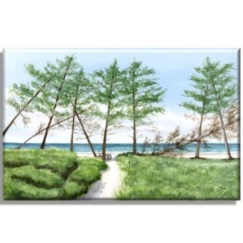 Leinwand 30 x 20 cm Keilrahmen Canvas-Leinen Strandweg  Aquarell Maritim Kunst Druck Kunstdruck Dänemark Nordsee Ostsee Dünen Meer Strand Sylt