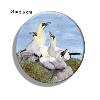 Kühlschrankmagnet m. Flaschenöffner  Aquarell Maritim Kunst Druck Kunstdruck Nordsee Insel Helgoland Basstölpel Vögel Lange Anna Felsen