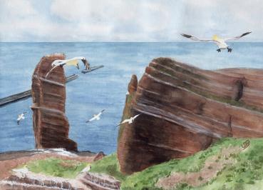 Folienmagnet Aquarell Maritim Kunst Druck Kunstdruck Nordsee Insel Helgoland Basstölpel Vögel Lange Anna Felsen
